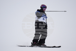 Milan Cortina Olympics Freestyle Skiing