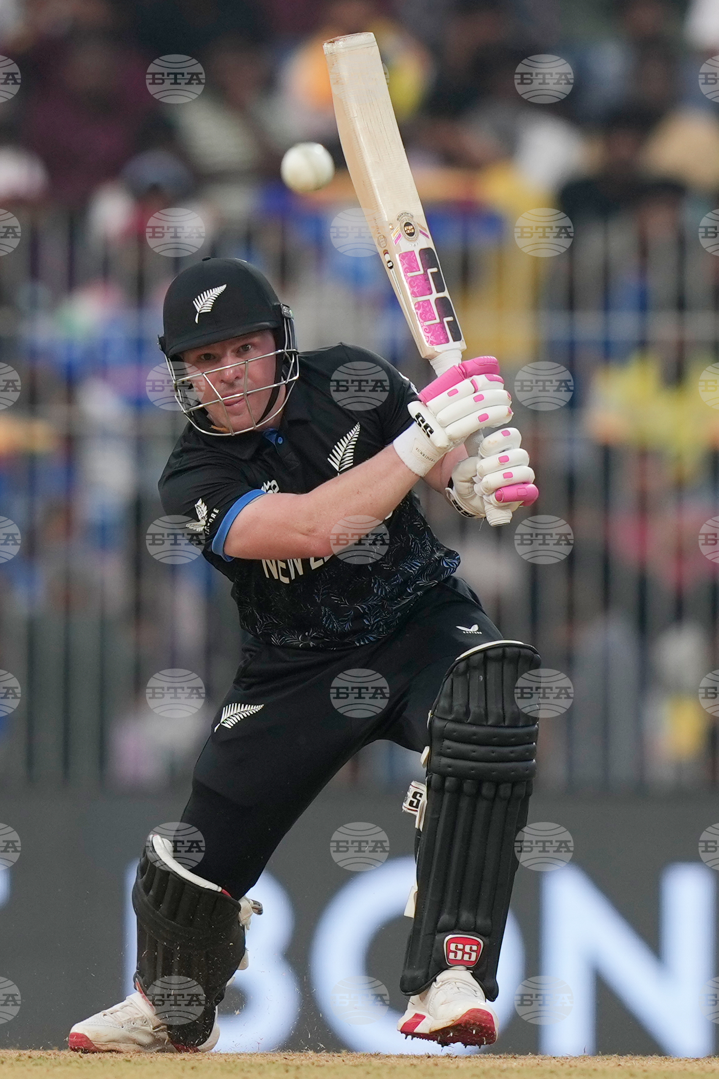 New Zealand United Arab Emirates T20 WCup Cricket