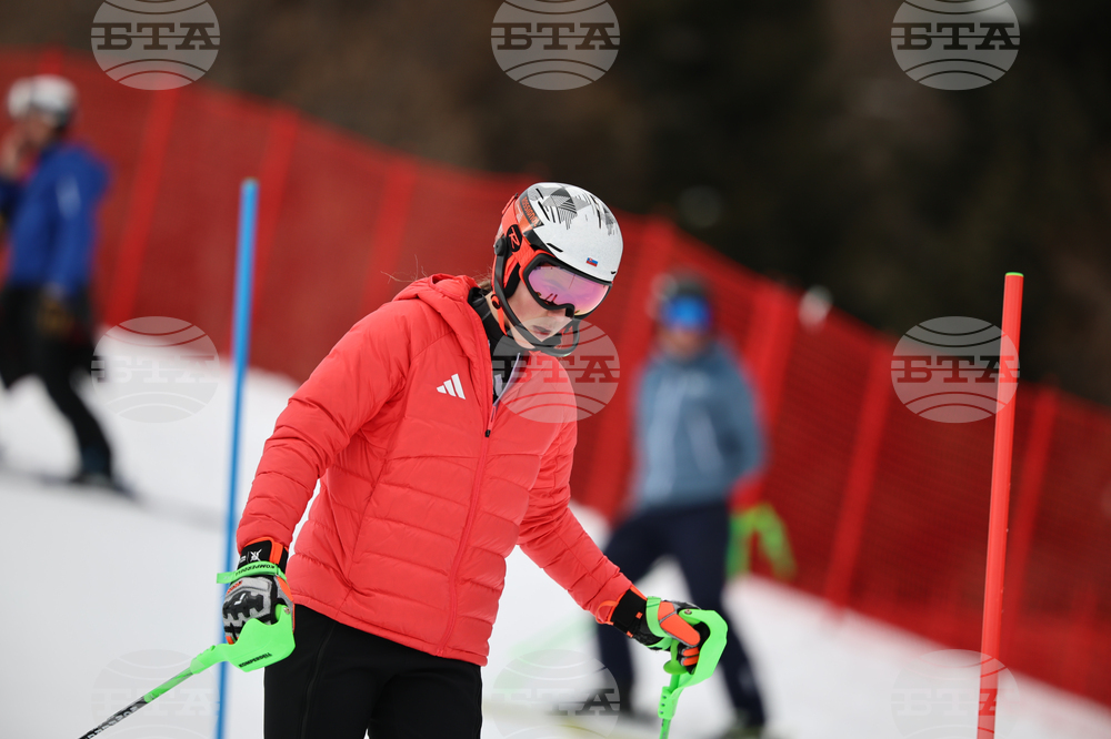 Milan Cortina Olympics Alpine Skiing