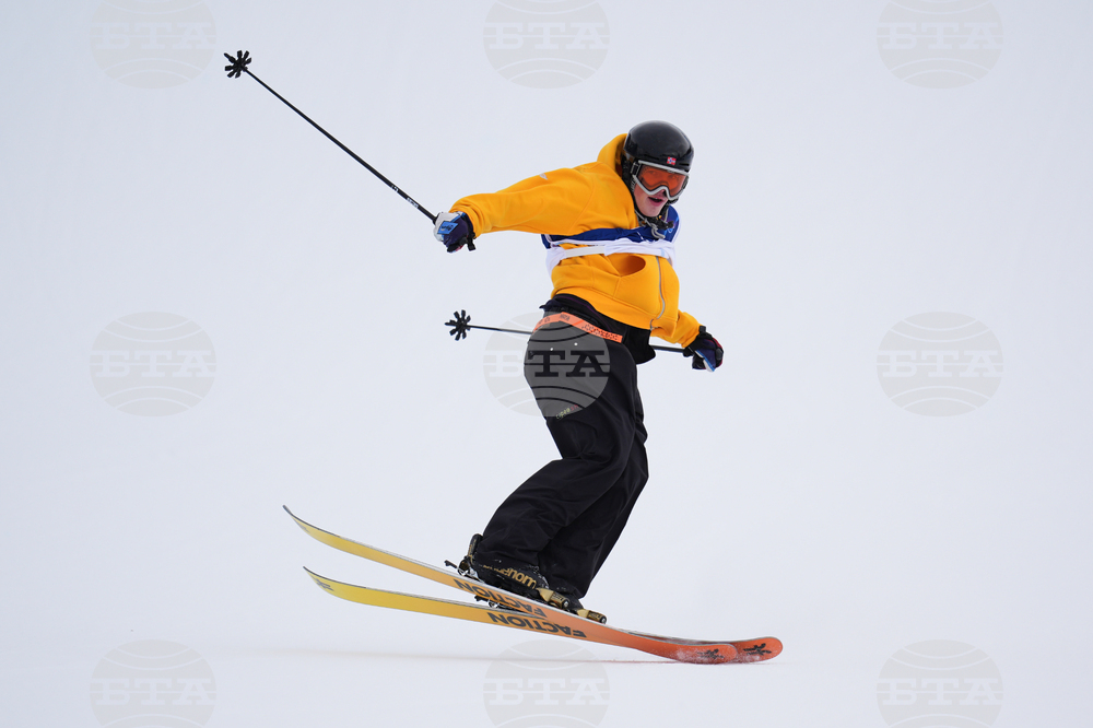 Milan Cortina Olympics Freestyle Skiing