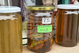 Самоков - Свети Харалампий - Катана Белчинска - любител пчелар