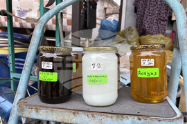 Самоков - Свети Харалампий - Катана Белчинска - любител пчелар