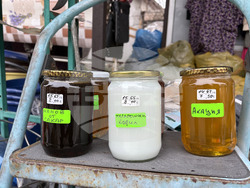 Самоков - Свети Харалампий - Катана Белчинска - любител пчелар