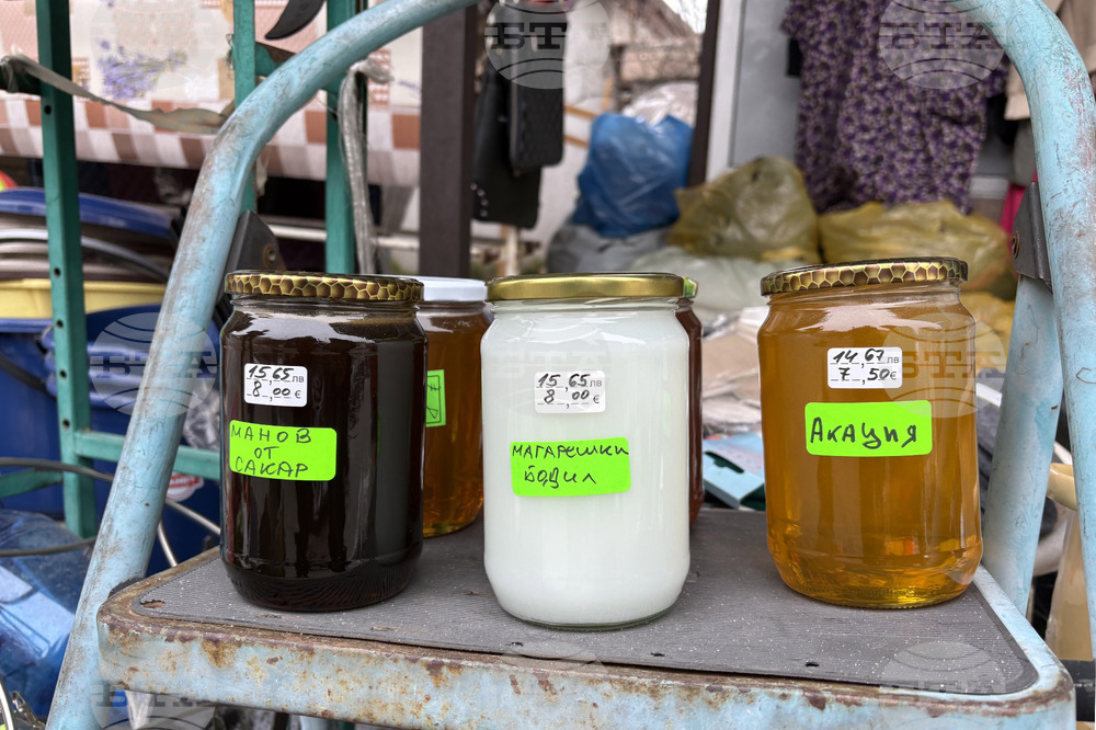 Самоков - Свети Харалампий - Катана Белчинска - любител пчелар