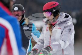 Milan Cortina Olympics Alpine Skiing