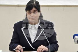 Видин - Комисия по заетостта - заседание - Ирена Николова