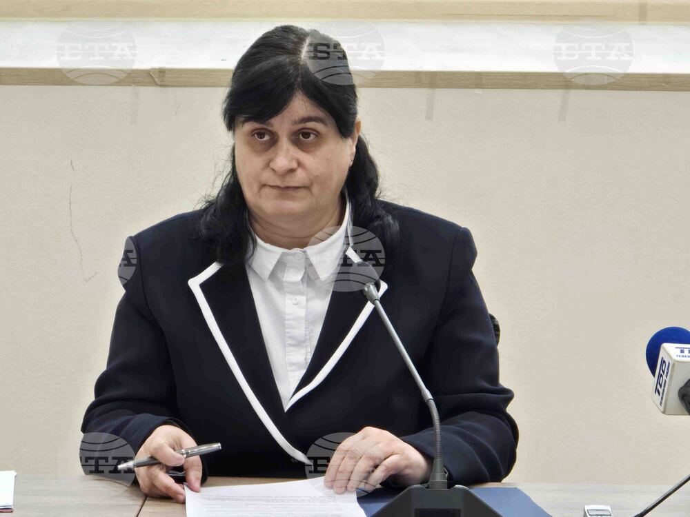 Видин - Комисия по заетостта - заседание - Ирена Николова