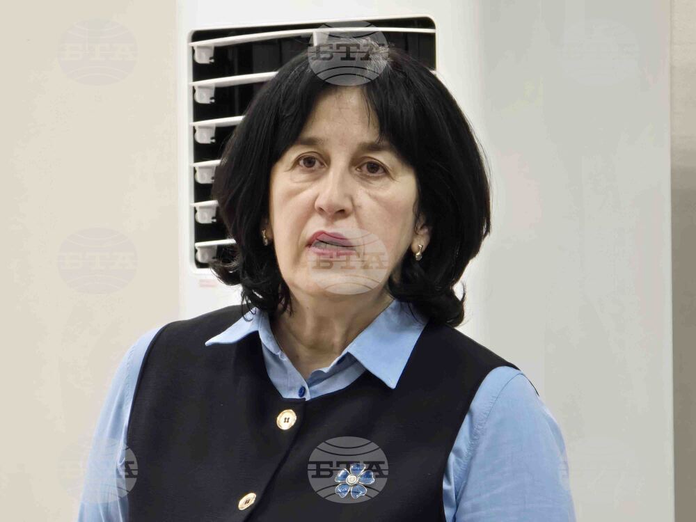 Видин - Комисия по заетостта - заседание - Веселка Асенова