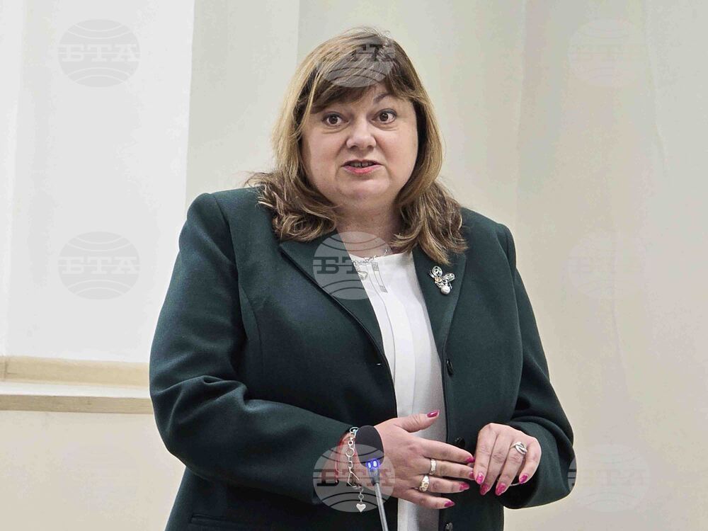 Видин - Комисия по заетостта - заседание - Анета Кирилова