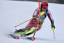 Milan Cortina Olympics Alpine Skiing