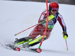 Milan Cortina Olympics Alpine Skiing