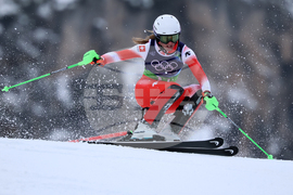 Milan Cortina Olympics Alpine Skiing