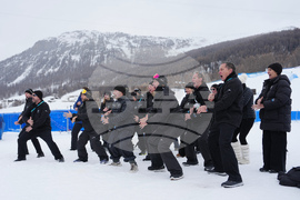 Milan Cortina Olympics Freestyle Skiing