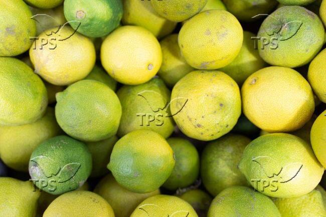 ТПС: Израелските власти предотвратиха "национално бедствие" за земеделието, конфискувайки заразена лимонова фиданка