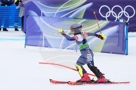 Milan Cortina Olympics Alpine Skiing