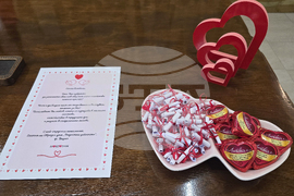 Видин - Седмица на любовта - Обреден дом - инициативи