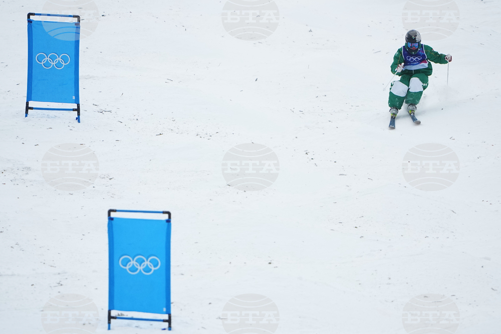 Milan Cortina Olympics Freestyle Skiing