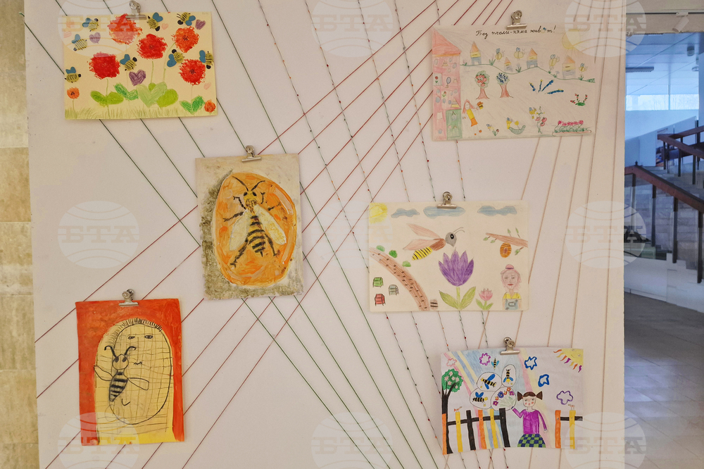 Село Орешак - изложба „Пчелите - моите приятели“