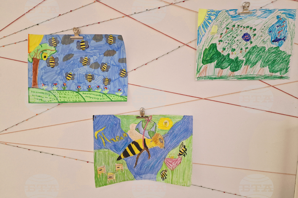 Село Орешак - изложба „Пчелите - моите приятели“