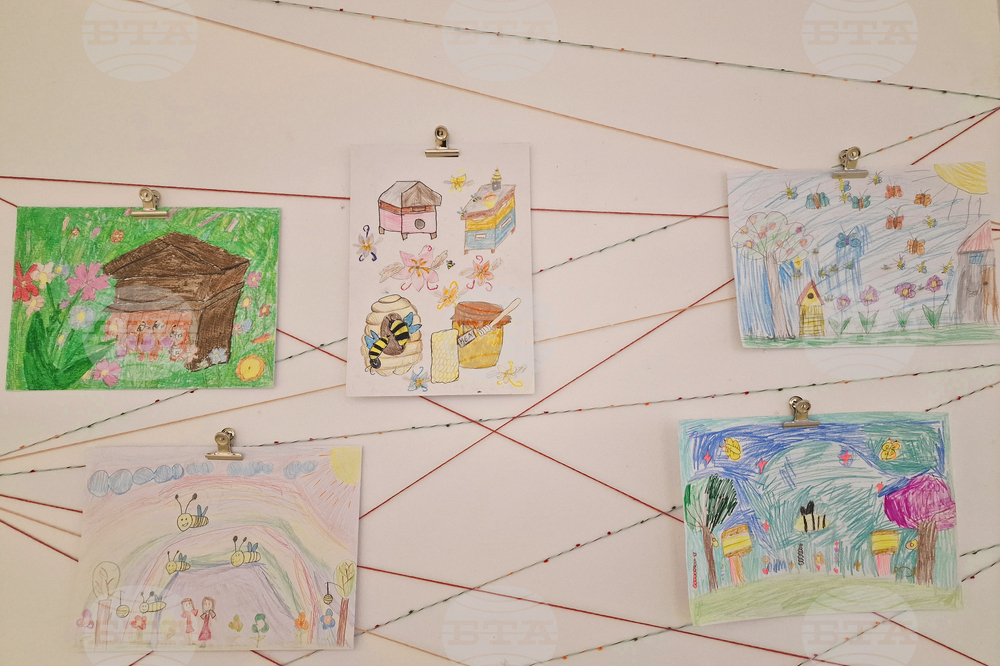 Село Орешак - изложба „Пчелите - моите приятели“