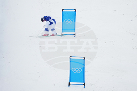 Milan Cortina Olympics Freestyle Skiing