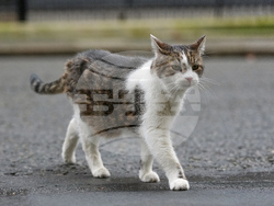 Epstein Britain Politics