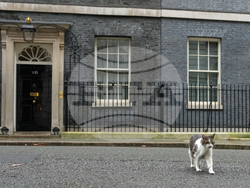 Epstein Britain Politics