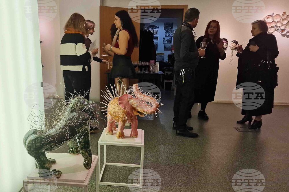 Нов български университет - „Черно 2” - изложба