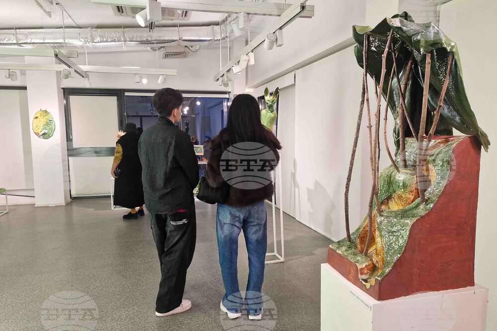 Нов български университет - „Черно 2” - изложба