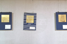 Шумен - проф. Веселин Панайотов - открита беседа