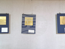 Шумен - проф. Веселин Панайотов - открита беседа