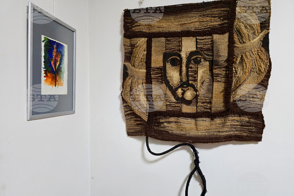 Плевен - изложба