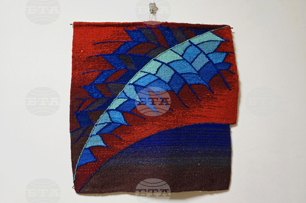 Плевен - изложба