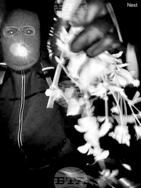 Savannah Guthrie Mom Missing