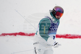 Milan Cortina Olympics Freestyle Skiing