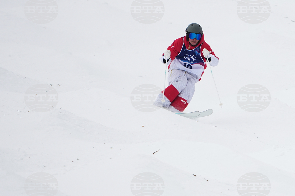 Milan Cortina Olympics Freestyle Skiing