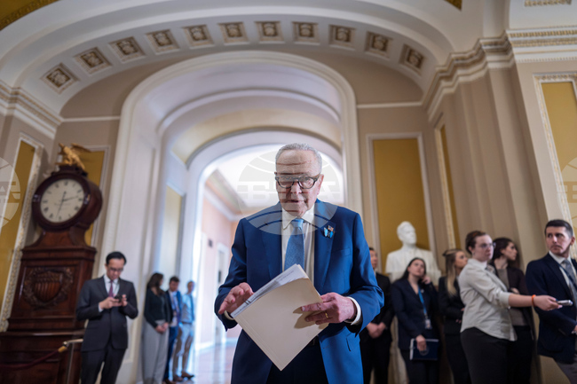 Congress Homeland Security