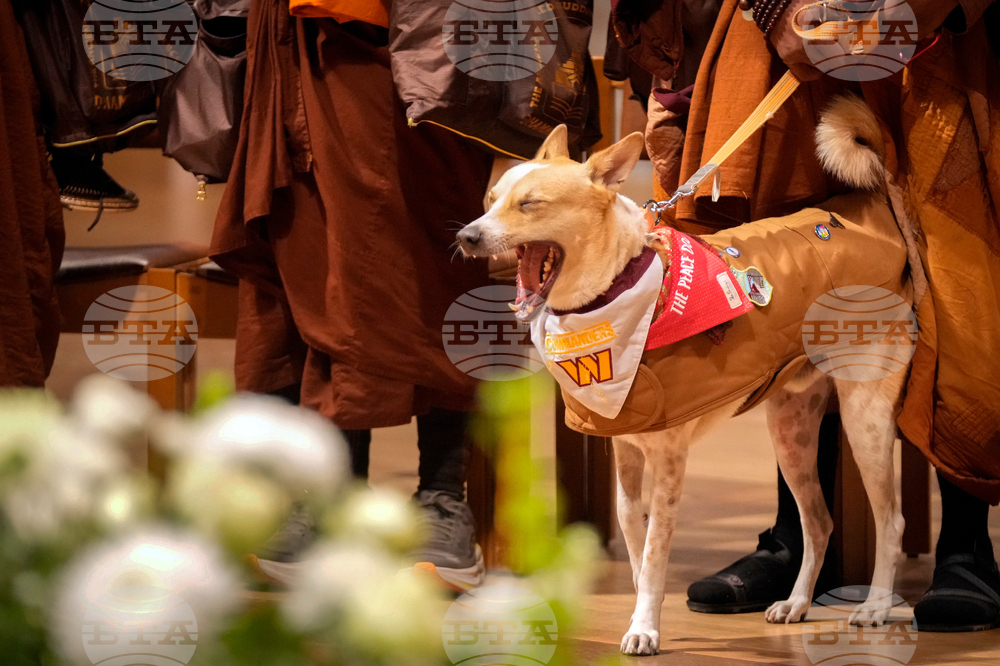 Buddhist Monks Peace Walk Washington