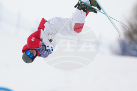 Milan Cortina Olympics Freestyle Skiing