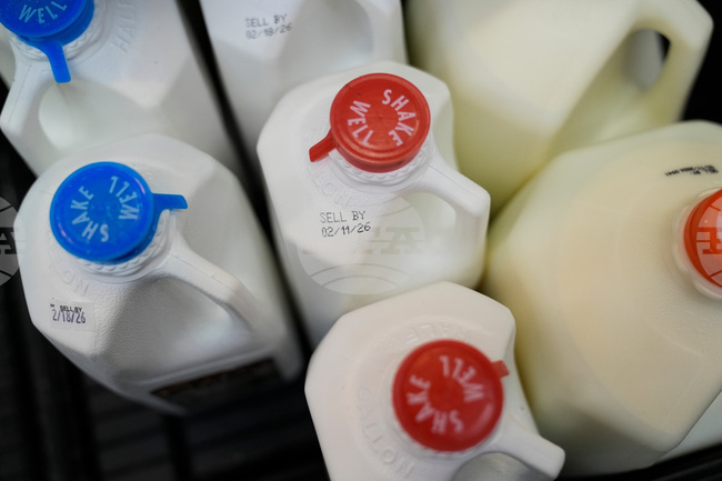 Гърците купуват предимно основни потребителски стоки, сочи проучване