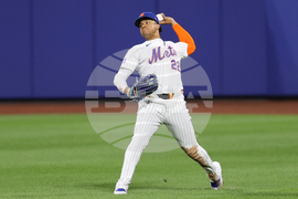 Mets Marlins Baseball