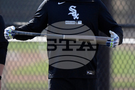 White Sox Spring Basesball