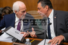 Senate Minnesota Fraud