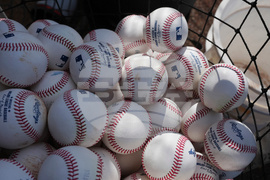 White Sox Spring Basesball
