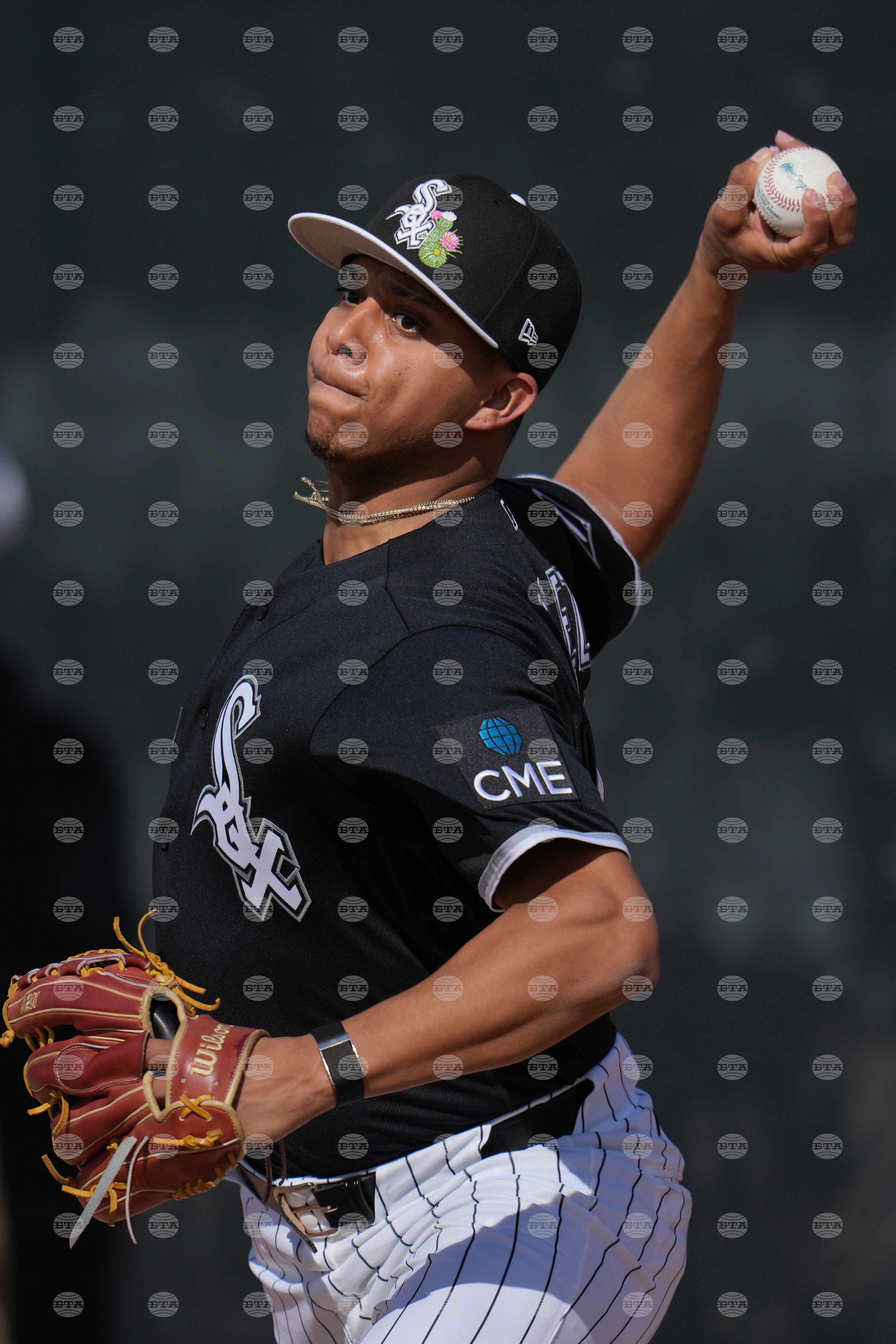 White Sox Spring Basesball