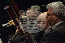 Русе - Мартенски музикални дни