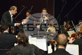 Русе - Мартенски музикални дни