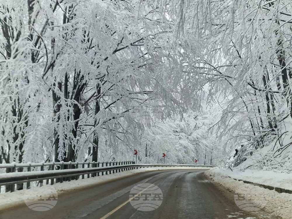 Проходът Петрохан и пътищата в област Монтана са проходими при зимни условия