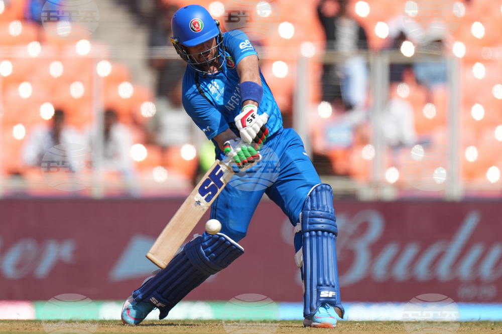 Afghanistan South Africa T20 WCup Cricket