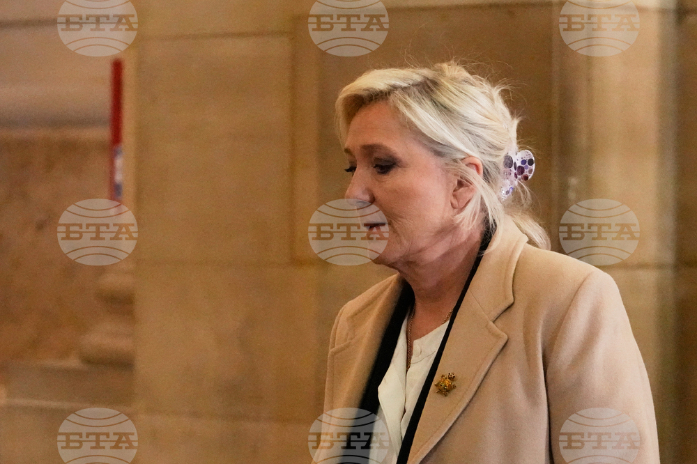 Адвокатите на Марин Льо Пен заявиха пред апелативния съд, че тя не е имала намерение да извърши нещо нередно